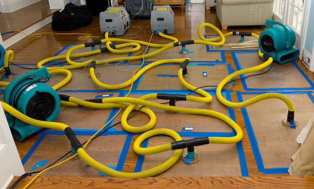 Professional Burst Pipe Water Damage technician working in Ely, NV